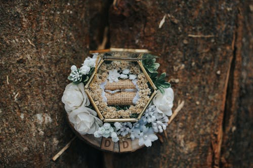 有关六边形, 插花, 特写的免费素材图片