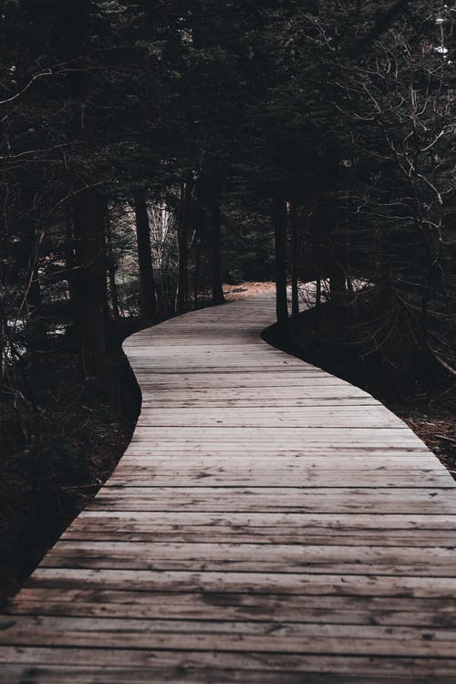 有关人行道, 光, 公园的免费素材图片