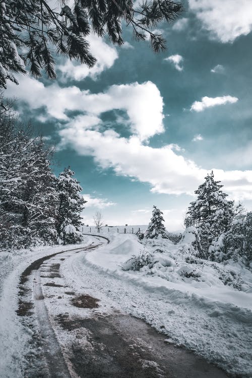 有关下雪的, 冬季, 垂直拍摄的免费素材图片