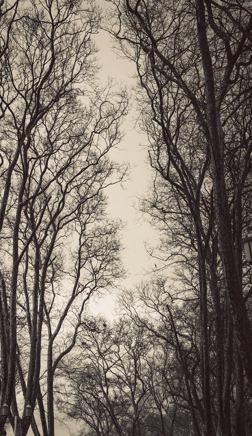 有关下落, 从下面, 光的免费素材图片