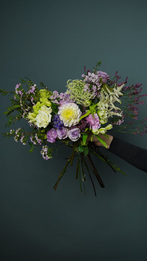 有关Copyspace, 不露面, 什锦的的免费素材图片