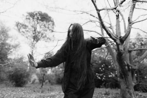 有关单色, 户外, 树木的免费素材图片