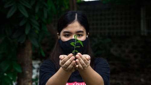 有关土, 增长, 天性的免费素材图片