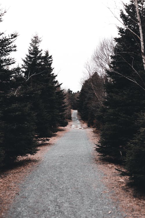 有关人行道, 充满活力, 光的免费素材图片