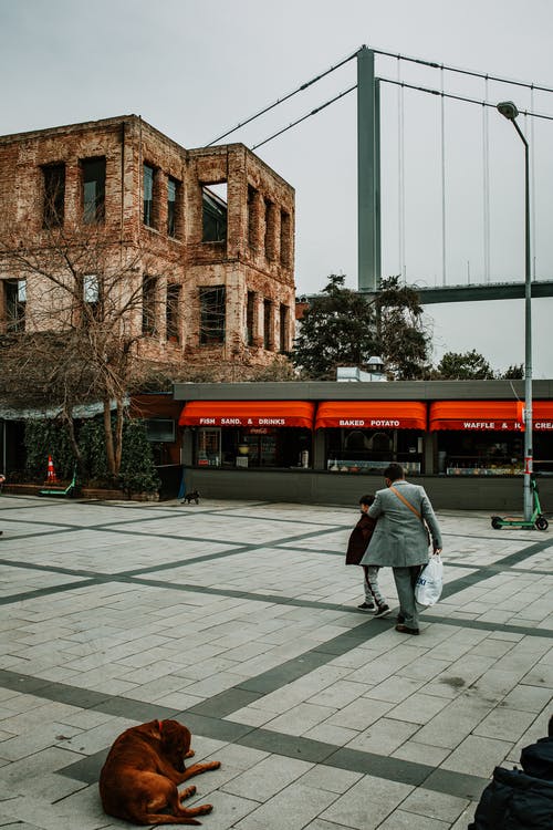 有关一起, 下落, 亭的免费素材图片