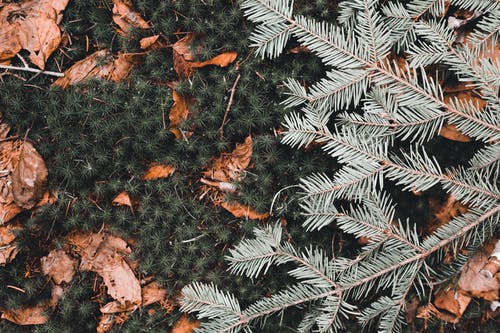 有关Copyspace, 下落, 乾的的免费素材图片