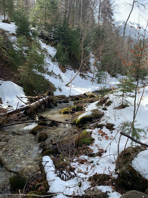 有关下雪的, 冬季, 冷冰冰的免费素材图片