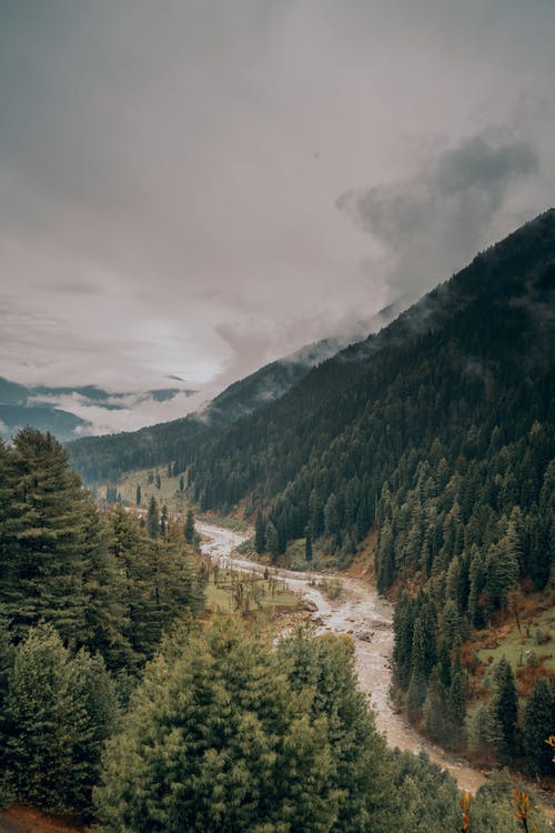 有关垂直拍摄, 天性, 天空的免费素材图片