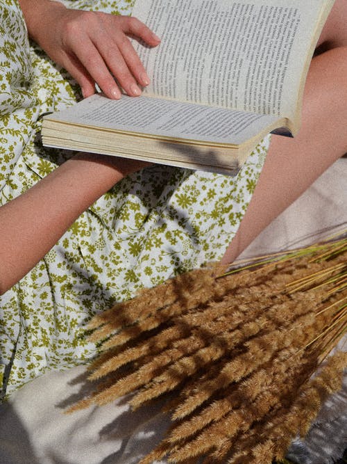 有关垂直拍摄, 干草, 书的免费素材图片