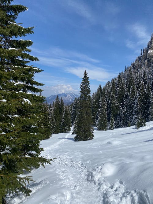 有关下雪的, 冬季, 冷冰冰的免费素材图片