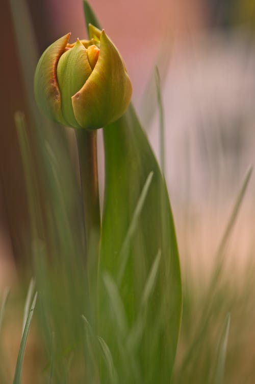 有关垂直拍摄, 工厂, 景深的免费素材图片