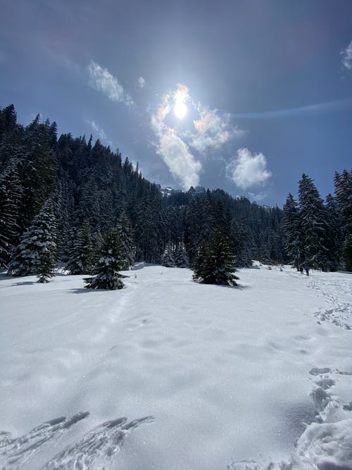 有关下雪的, 冬季, 冷冰冰的免费素材图片