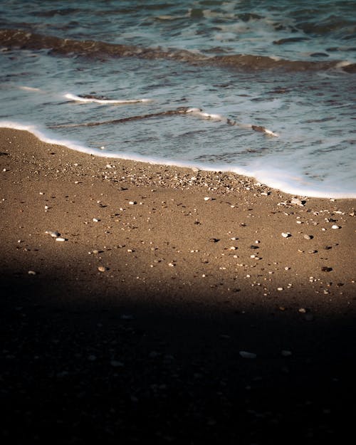 有关垂直拍摄, 天性, 岸边的免费素材图片