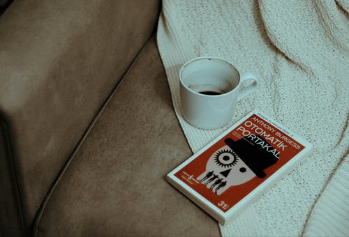 有关Copyspace, 休闲, 休闲时光的免费素材图片