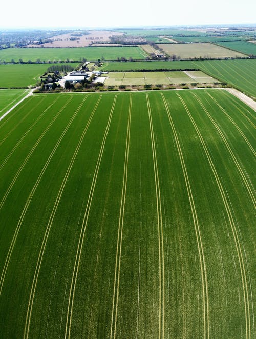 有关农业用地, 林场, 无人空拍机的免费素材图片