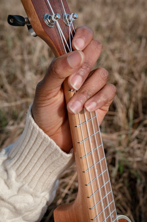 有关四弦琴, 垂直拍摄, 尤克里里琴弦的免费素材图片