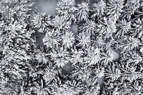 有关冬季, 冷, 大雪覆盖的免费素材图片