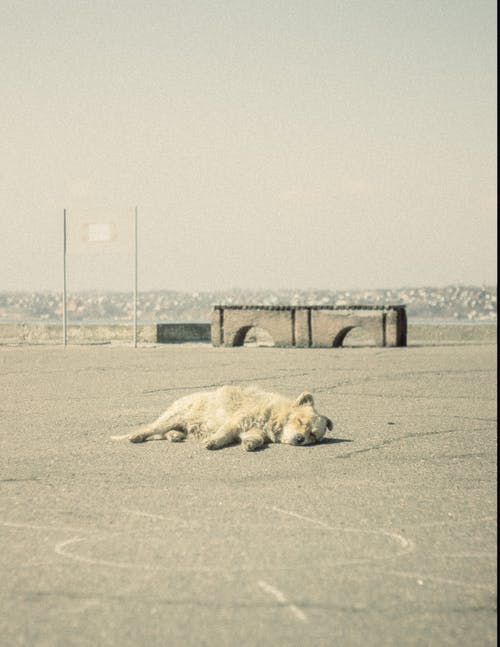 有关休息, 住宅, 光的免费素材图片