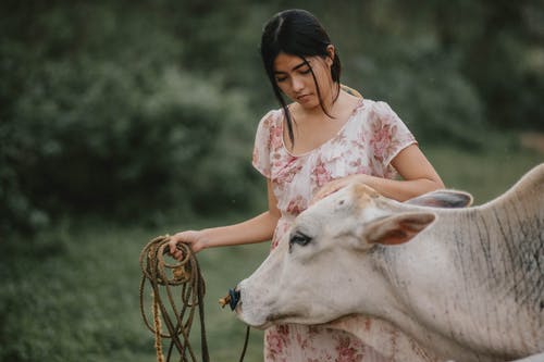 有关動物, 女人, 年輕的免费素材图片