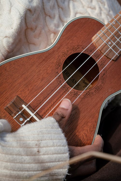 有关四弦琴, 垂直拍摄, 弦的免费素材图片