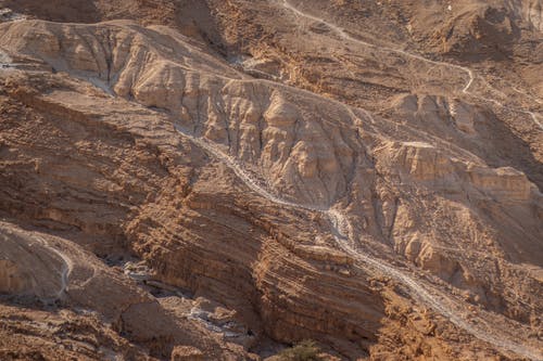 有关Copyspace, 不均匀的, 乾的的免费素材图片