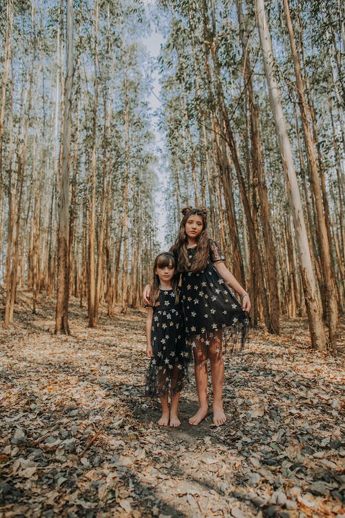 有关一起, 兄弟, 儿童的免费素材图片