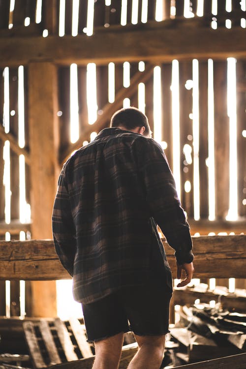 有关人, 垂直拍摄, 後视图的免费素材图片