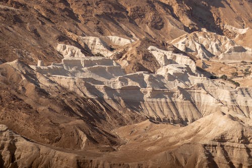 有关Copyspace, 不均匀的, 乾的的免费素材图片