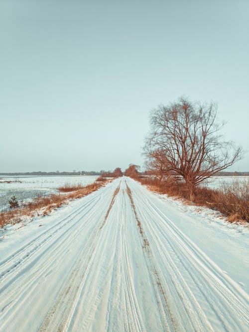 有关冬季, 垂直拍摄, 大雪覆盖的免费素材图片