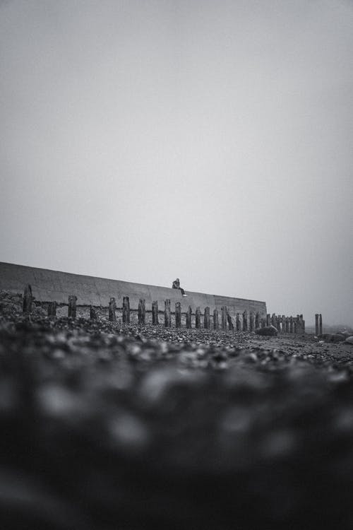 有关单色, 坐, 垂直拍摄的免费素材图片