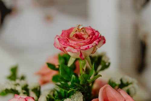 有关戒指, 特写, 玫瑰的免费素材图片