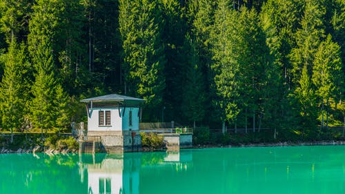 有关反射, 增长, 天性的免费素材图片