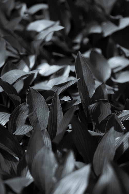 有关单色, 垂直拍摄, 工厂的免费素材图片