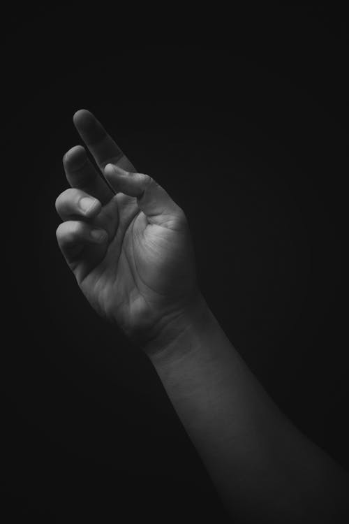 有关到达, 单色, 垂直拍摄的免费素材图片