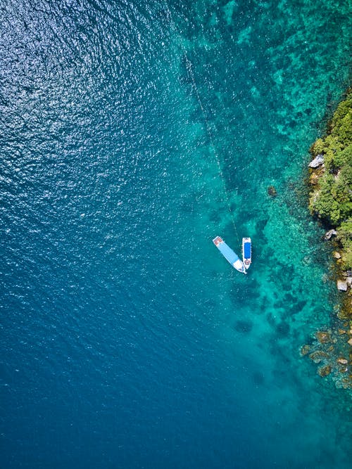 有关俯视图, 垂直拍摄, 天性的免费素材图片
