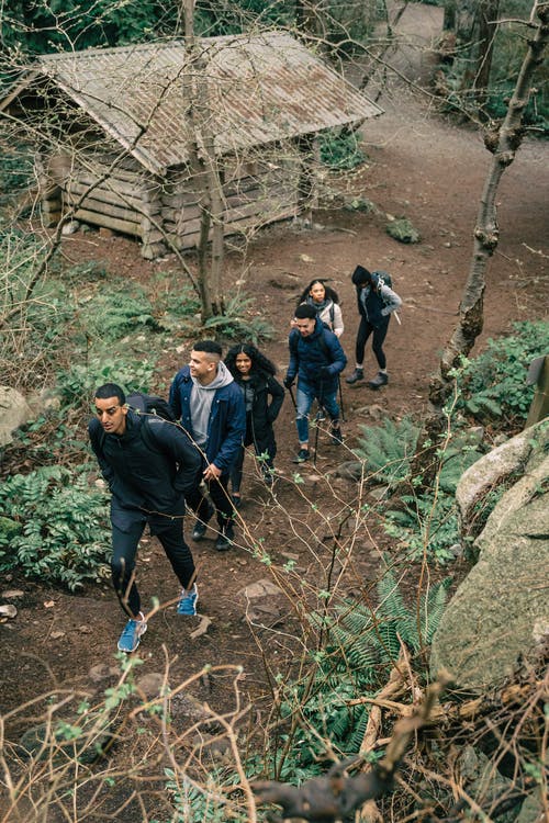 有关人行道, 休闲, 冒险的免费素材图片
