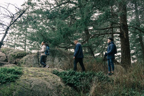 有关人行道, 休闲, 冒险的免费素材图片