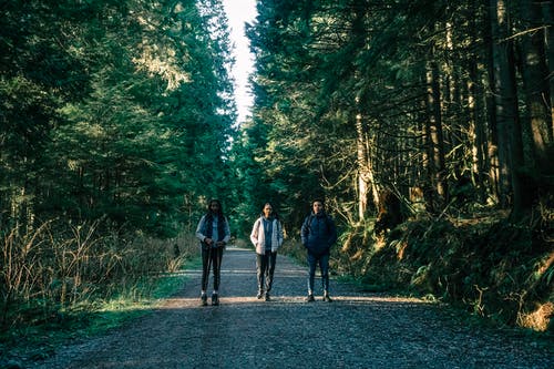 有关人行道, 休闲, 冒险的免费素材图片