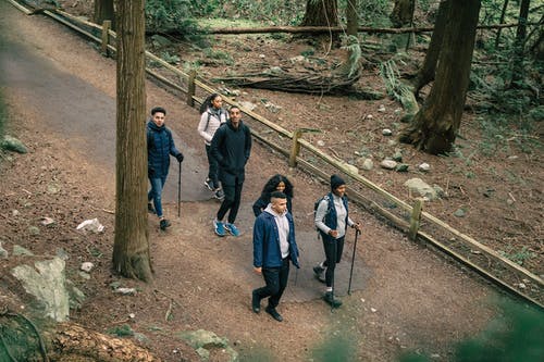 有关人行道, 休闲, 冒险的免费素材图片