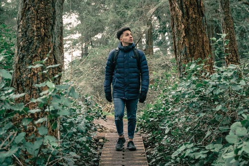 站在森林中间的木制通道上的黑色泡泡夹克的男人 · 免费素材图片