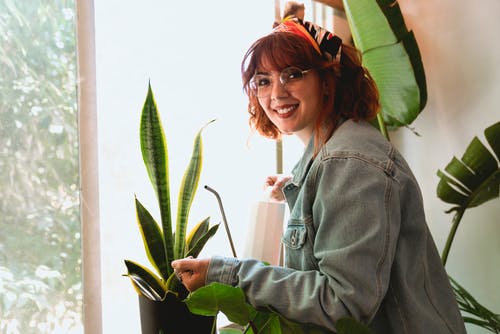 有关保重, 喷壶, 在家的免费素材图片