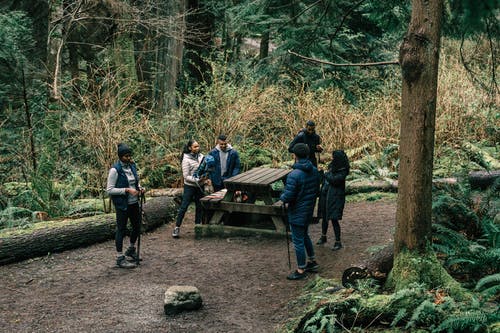 有关休闲, 冒险, 天性的免费素材图片