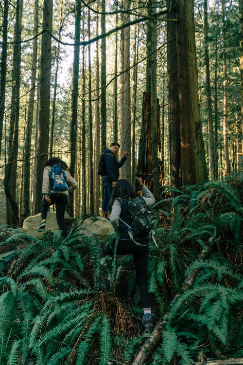 有关人行道, 休闲, 冒险的免费素材图片