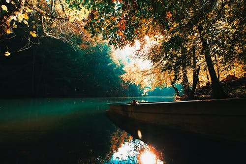 有关停泊, 户外, 日光的免费素材图片