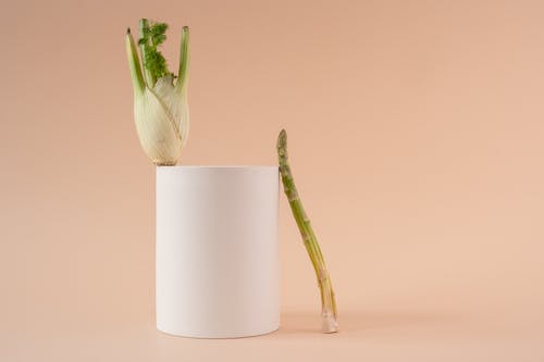 有关增長, 工作室, 幾何形狀的免费素材图片