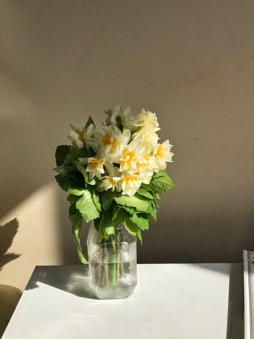 有关光, 垂直拍摄, 室内的免费素材图片