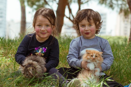 有关一起, 伴侣, 兄弟的免费素材图片