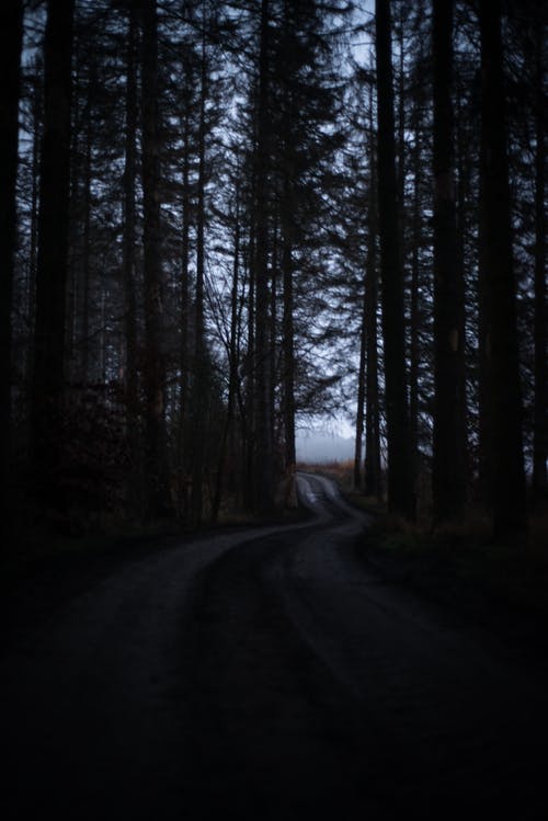 有关垂直拍摄, 小径, 户外的免费素材图片