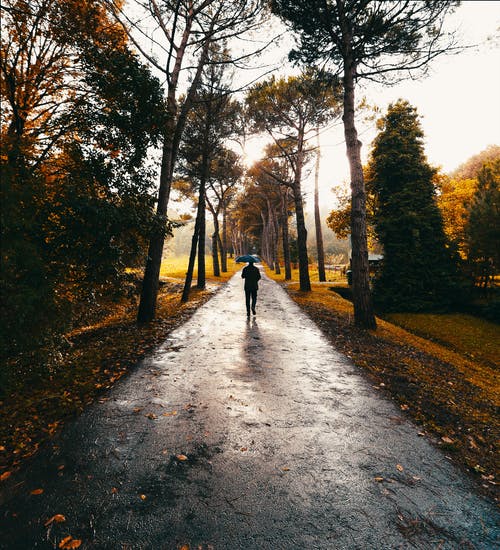 有关下雨, 人, 垂直拍摄的免费素材图片