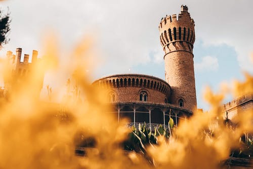 有关从下面, 低角度, 传统的免费素材图片